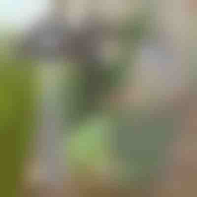 Motyka ogrodowa do łatwego usuwania chwastów | GRASSOE