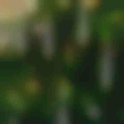 Bezogniowe migoczące świece (6 szt.) | CANDLEA