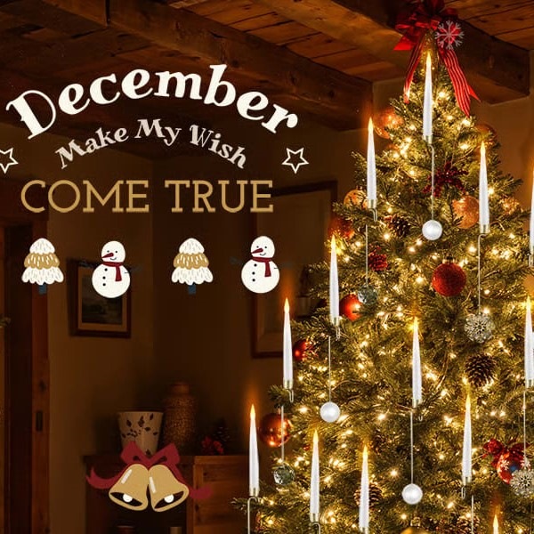 CANDLEA-3831127613878-N-6__080825